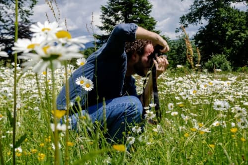 Homme photographiant les fleurs sauvages dans la prairie du Château de Vaux Morzan, Étang sur Arroux, France