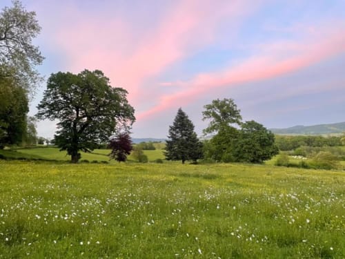 Prairie verdoyante avec fleurs sauvages et arbres épars au Château de Vaux Morvan, Étang sur Arroux, au coucher du soleil