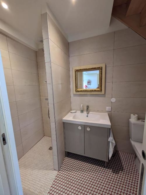 Modern bathroom at Manoir Saint Joseph villa in Sens with shower, vanity sink, toilet, and decorative mirror