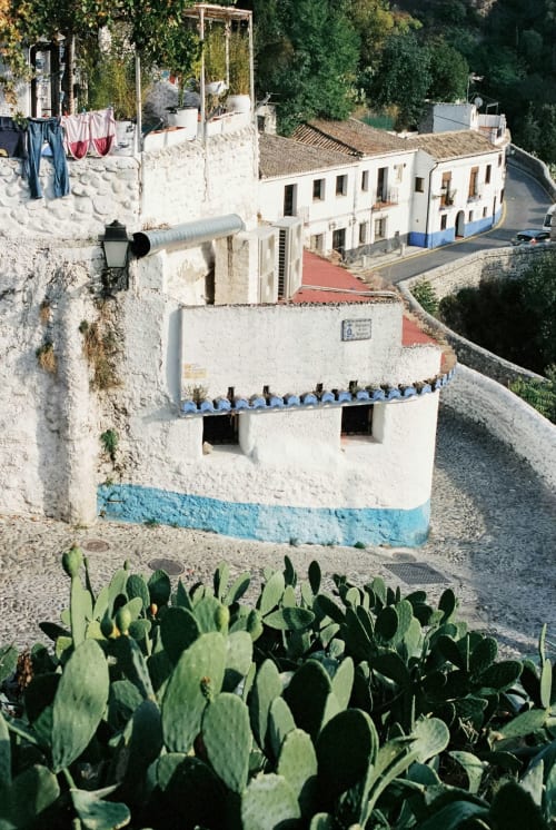 Casas blancas con detalles azules en una calle empedrada de un barrio tradicional, rodeado de vegetación y chumberas.