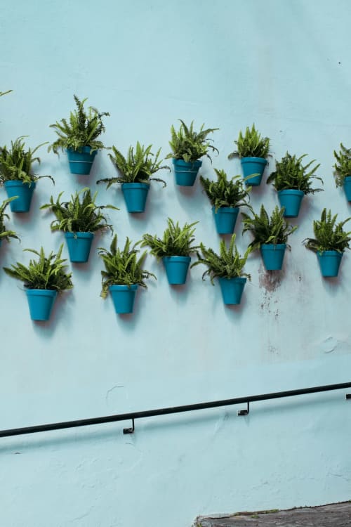 Macetas azules con helechos colgadas en una pared celeste con pasamanos negro, creando un diseño decorativo vibrante.