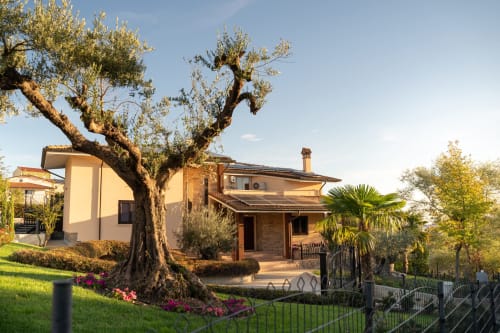 Antico ulivo davanti alla Villa Del Sole Inn B&B a Campobasso, Italia con edifici in terracotta