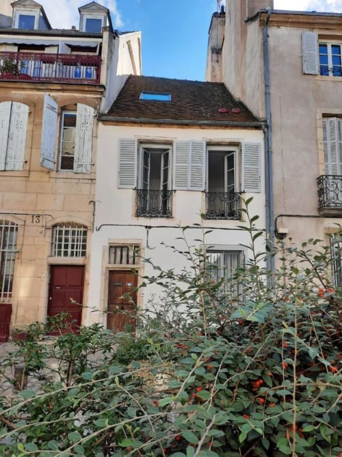 Cour de la Maison Rinette à Dijon avec plantes fleuries, architecture française historique, volets et ferronnerie
