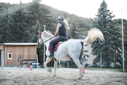 Blonde rider on white horse with pink saddle at equestrian facility near Brooklyn House in Southgate, London