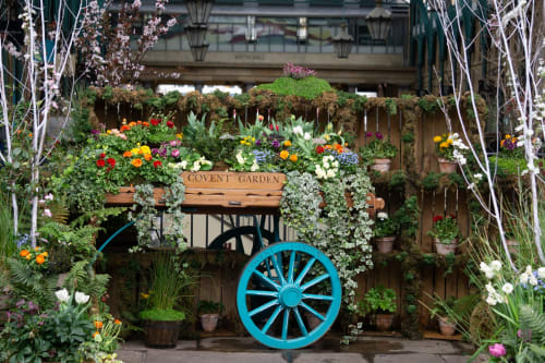 Covent Garden flower display with blue wagon wheel at Brooklyn House B&B in Southgate, London