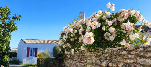 location ile d'yeu