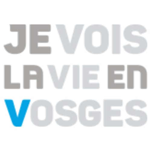 Logo de Chambres d'hôtes le Grand Bienfaisy à Remiremont, France