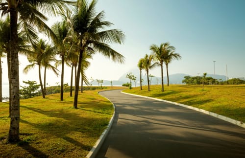 Curved asphalt path lined with palm trees and lush green grass at Rio Vibes Hostel in Rio de Janeiro