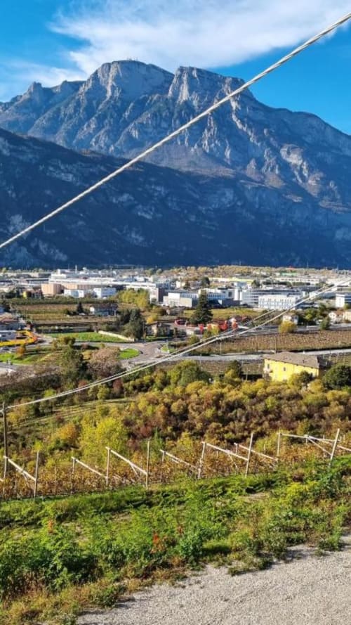 Vigna Maso Kreuzberg con vista sulle Alpi, Trento Italia