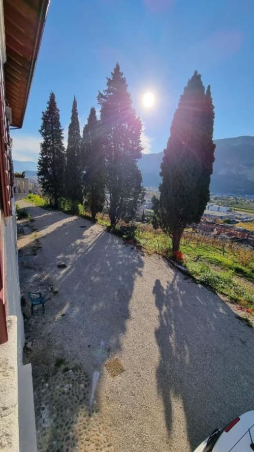 Viale di cipressi al Maso Kreuzberg B&B di Trento, con vista sulla vallata montana e la soleggiata campagna italiana