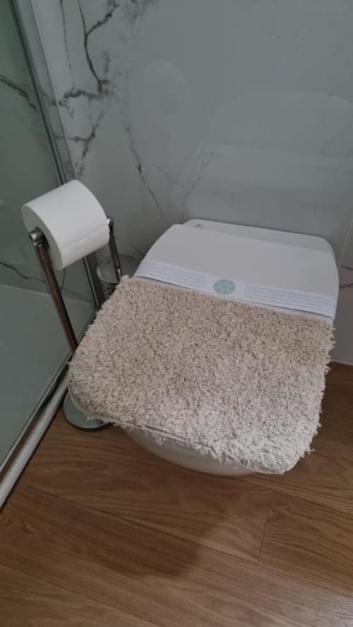 Angolo bagno presso il Maso Kreuzberg B&B con portarotolo, asciugamano e pareti verdi nell'appartamento di Trento