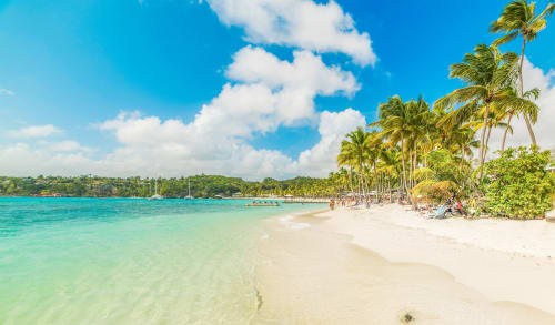 Plage turquoise immaculée aux sables blancs, palmiers et ciel bleu cristallin à Petit-Bourg, Guadeloupe