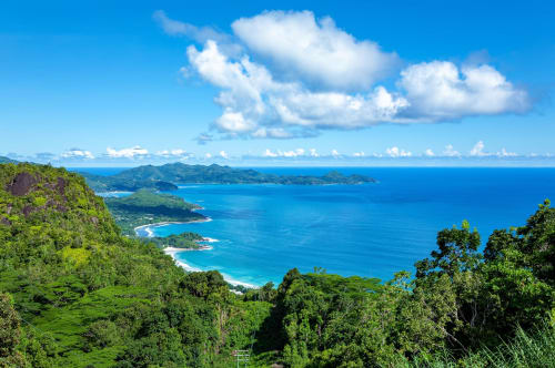 Littoral tropical luxuriant aux eaux turquoise près de Petit-Bourg, Guadeloupe
