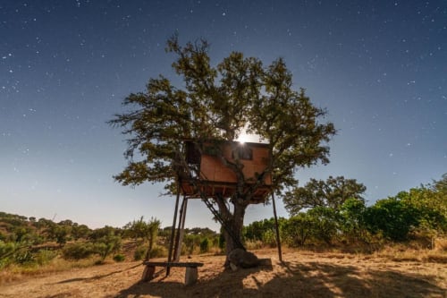Hospedagem em casa na árvore em Corvatos Casas do Monte, Almodôvar, Portugal, sob céus estrelados