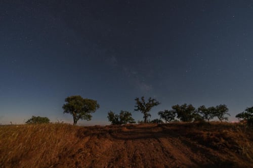 Céu estrelado sobre a zona rural de Almodôvar com árvores dispersas e paisagem campestre em Corvatos Casas do Monte