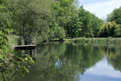 Découvrez notre gîte de groupe idéal pour 15 personnes, niché au cœur des Landes. Une location de vacances unique très bien équipée. Le Baccara Lodge, c'est une maison de vacances avec piscine, 8 chambres, 8 salles de bains, proche des plages landaises et de Contis. réserve d'Arjuzanx à 5 mins.