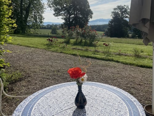 Rose rouge dans un vase sur la table de la terrasse dominant les jardins verdoyants du Château de Vaux Morvan