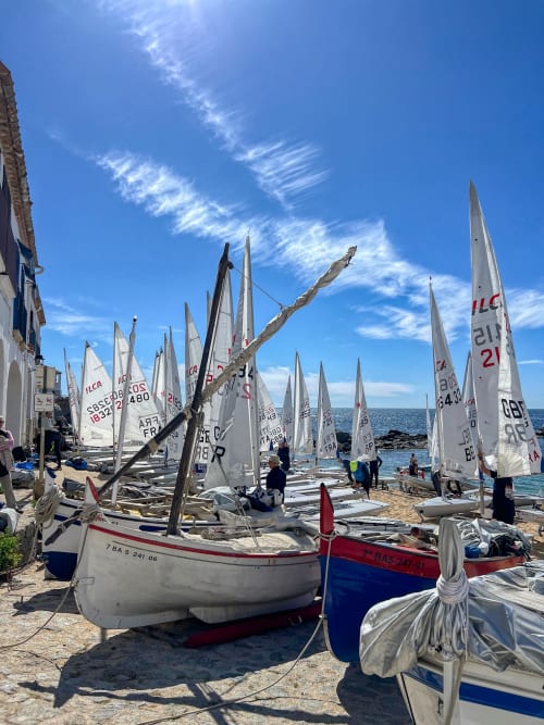 Sailboats lined up on Palafrugell beach with white sails and registration numbers, clear blue sky