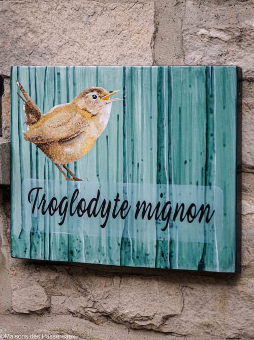 tableau unique Vincent Fondanesche Artiste peintre