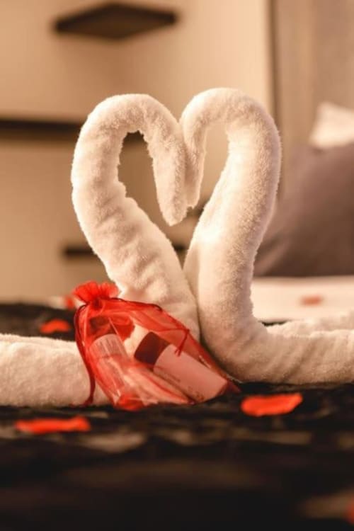 Deux serviettes blanches disposées en forme de cœur avec des pétales de rose rouge à la villa Domaine du haut de la Dombes