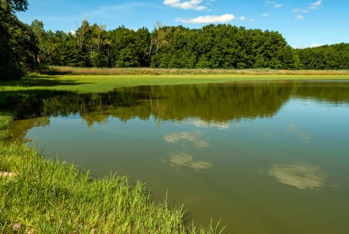 Lac paisible, prairie verdoyante et forêt au Domaine du haut de la Dombes, Châtillon-sur-Chalaronne