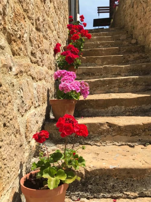 Géraniums rouges et roses en fleurs sur l'escalier en pierre du Manoir De Rieuzal, Loubressac, France