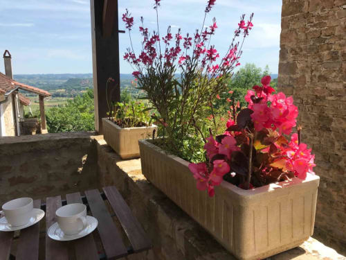 Terrasse de l'appartement Bergamot au Manoir de Rieuzal avec fleurs roses éclatantes, vue sur les montagnes et service de café à Loubressac