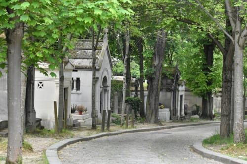 Allée arborée du cimetière avec chapelle blanche à Chez Adrien Paris, entourée de structures historiques en pierre et de verdure luxuriante