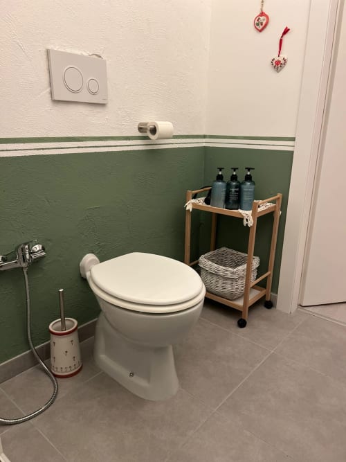 Modern bathroom in La Cascina di Bea B&B with green and white walls, white toilet, wooden shelf with toiletries, and tile