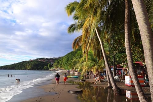 Plage tropicale du Domaine de la Glacière à Petit-Bourg avec palmiers, rivage de sable et baigneurs en Guadeloupe