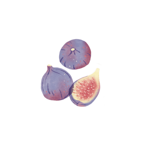 Fresh figs illustration, Tree House hotel in Sesimbra, Portugal