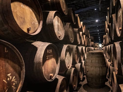 Barriles de vino en la bodega de Tradición Rural, Nieva España