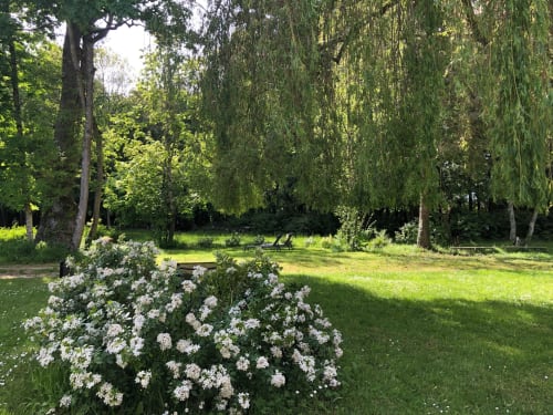 Lush garden at Domaine de l'Ocrerie with white flowering shrubs, mature trees, and manicured lawn in Pourrain, France
