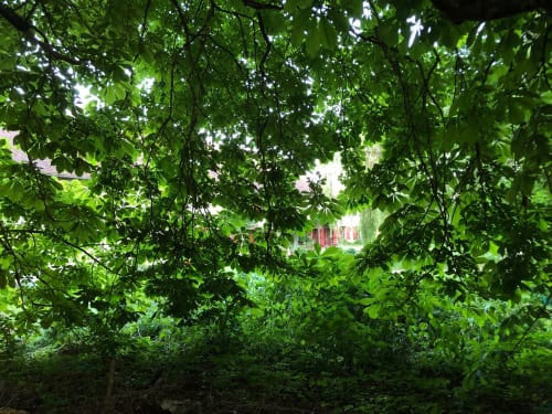 Lush green garden canopy at Domaine de l'Ocrerie, a rustic B&B in Pourrain, France