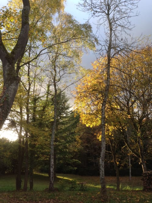 Autumn forest at Domaine de l'Ocrerie with tall trees, golden foliage, and picnic chairs in Pourrain, France
