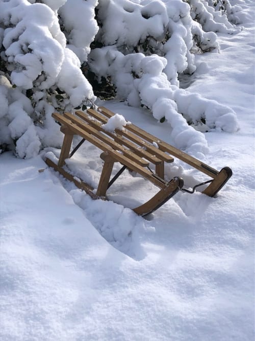 Wooden sled nestled in snow near snow-covered evergreen trees at Domaine de l'Ocrerie, Pourrain