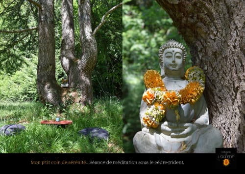 Zen meditation corner at Domaine de l'Ocrerie with Buddha statue and orange flowers under cedar trees in Pourrain