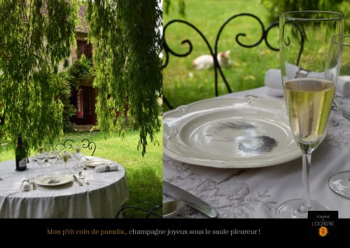 Elegant outdoor champagne dining at Domaine de l'Ocrerie in Pourrain, France, beneath weeping willow