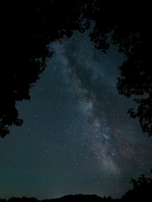 Milky Way and starry night sky viewed through forest canopy at Château de Vaux Morvan, Étang sur Arroux