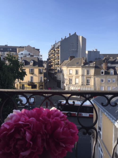 Rose rose sur la balustrade d'un balcon avec vue sur l'architecture parisienne et le pont du Mans