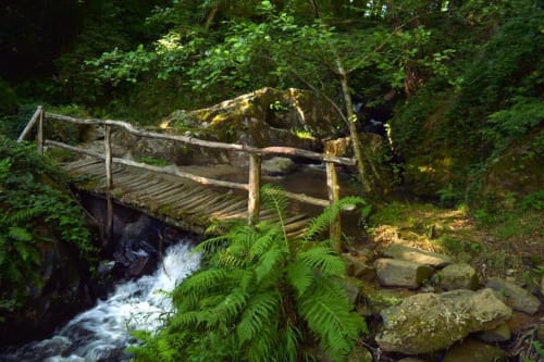 Passerelle en bois au-dessus d'un ruisseau forestier, Hôtel Saint Roch, Saint Ybard France