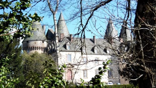 Château de l'Hôtel Saint-Roch avec ses tours distinctives encadrées par des arbres nus et du feuillage vert à Saint-Yrieix, France