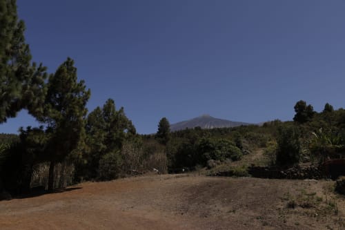 Mountain view from Casonas de marengo cottage with pine trees and volcanic landscape in Icod de los Vinos