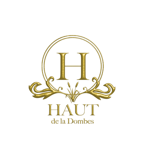 Logo de l'hôtel de luxe Haut de la Dombes avec monogramme H doré élégant et design ornemental, Châtillon-sur-Chalaronne