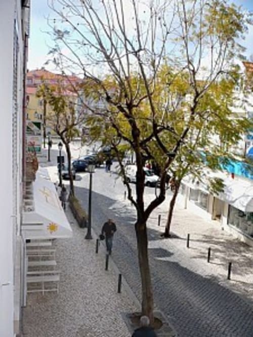 Vista ensolarada da rua em Casas de Juromenha com árvore jovem, edifícios brancos e caminho de pedra em Juromenha, Portugal