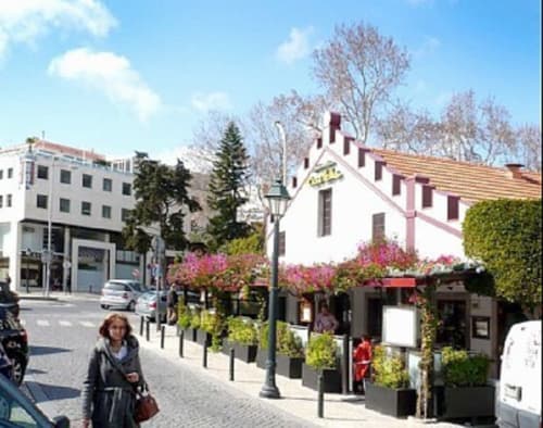Charmosa vista da rua de Casas de Juromenha em Juromenha, Portugal com edifícios brancos, flores rosas e história