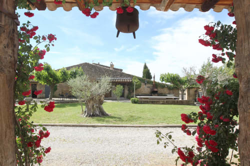 Patio rústico del siglo XVIII en Girona: rosas rojas, edificios de piedra, césped cuidado y olivo