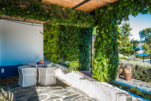 Pátio coberto de hera com cadeiras brancas na villa Casas de Juromenha em Portugal, com detalhes azuis e vistas para o jardim