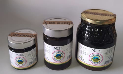 Tres frascos de miel etiquetados 'Miel' con tapas de madera, tamaños variados, exhibidos para Gestyp-AT en Mérida