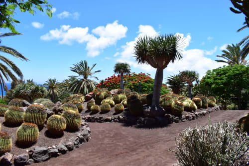 Villa. Fuerteventura, España, Canarias, ubicación perfecta, lujo, exclusivo, retiro, privado, villa, serenidad, relajación, comodidad, vista al mar, jardín, piscina privada, piscina climatizada, diseño, encanto, elegante, rural, aislado, auténtico, belleza natural, isla, Corralejo, Lajares cerca de la playa, servicios a poca distancia, premium, wi-fi, gratis, privacidad, servicio personalizado, personal, bienestar, spa, hospitalidad, escape, vacaciones, sol, atardecer, amanecer, silencio, calma, descubrir, explorar, experimentar, único, inolvidable, recuerdos, rejuvenecimiento, energía, alma, sonrisa